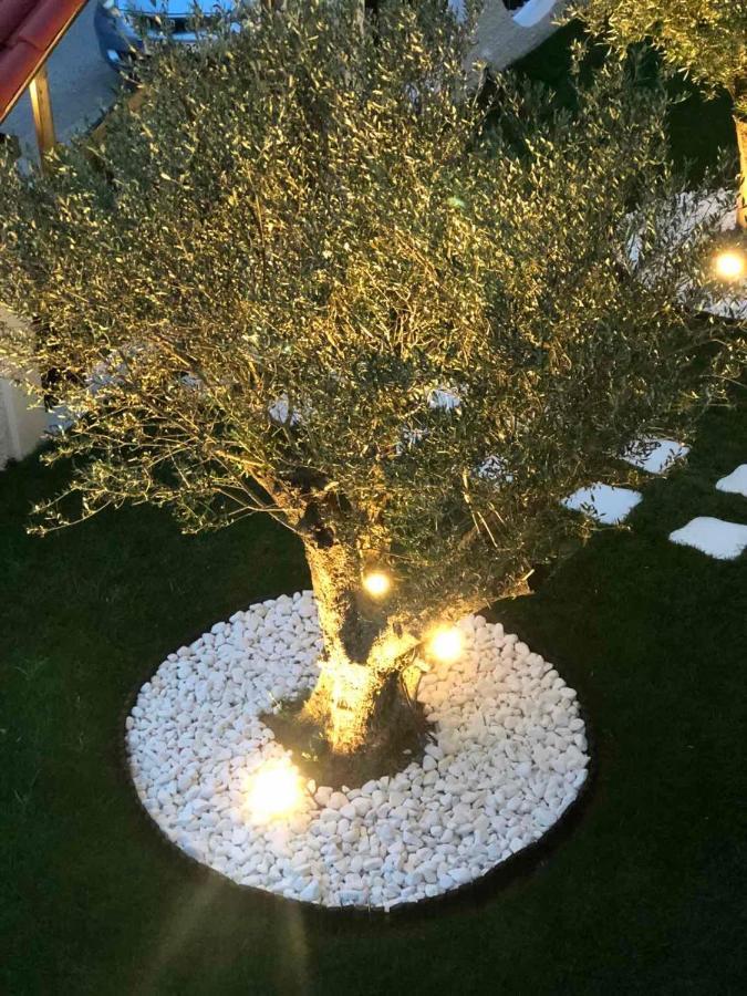 شقة Amaryllis House بلاتامونيس المظهر الخارجي الصورة
