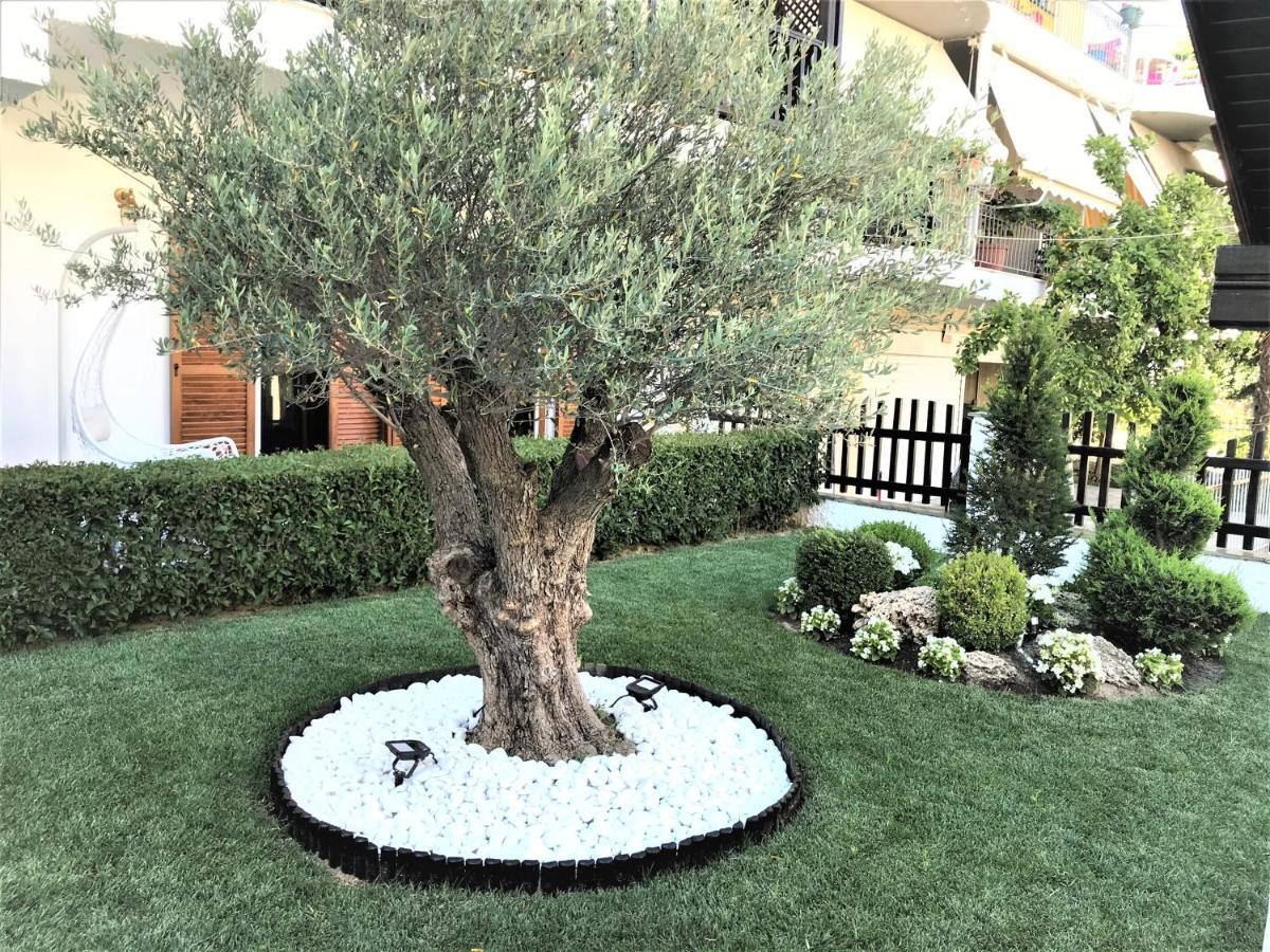 شقة Amaryllis House بلاتامونيس المظهر الخارجي الصورة